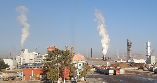 Kayseri Şekerden pancar çiftçisine 54 milyon TL söküm avansı