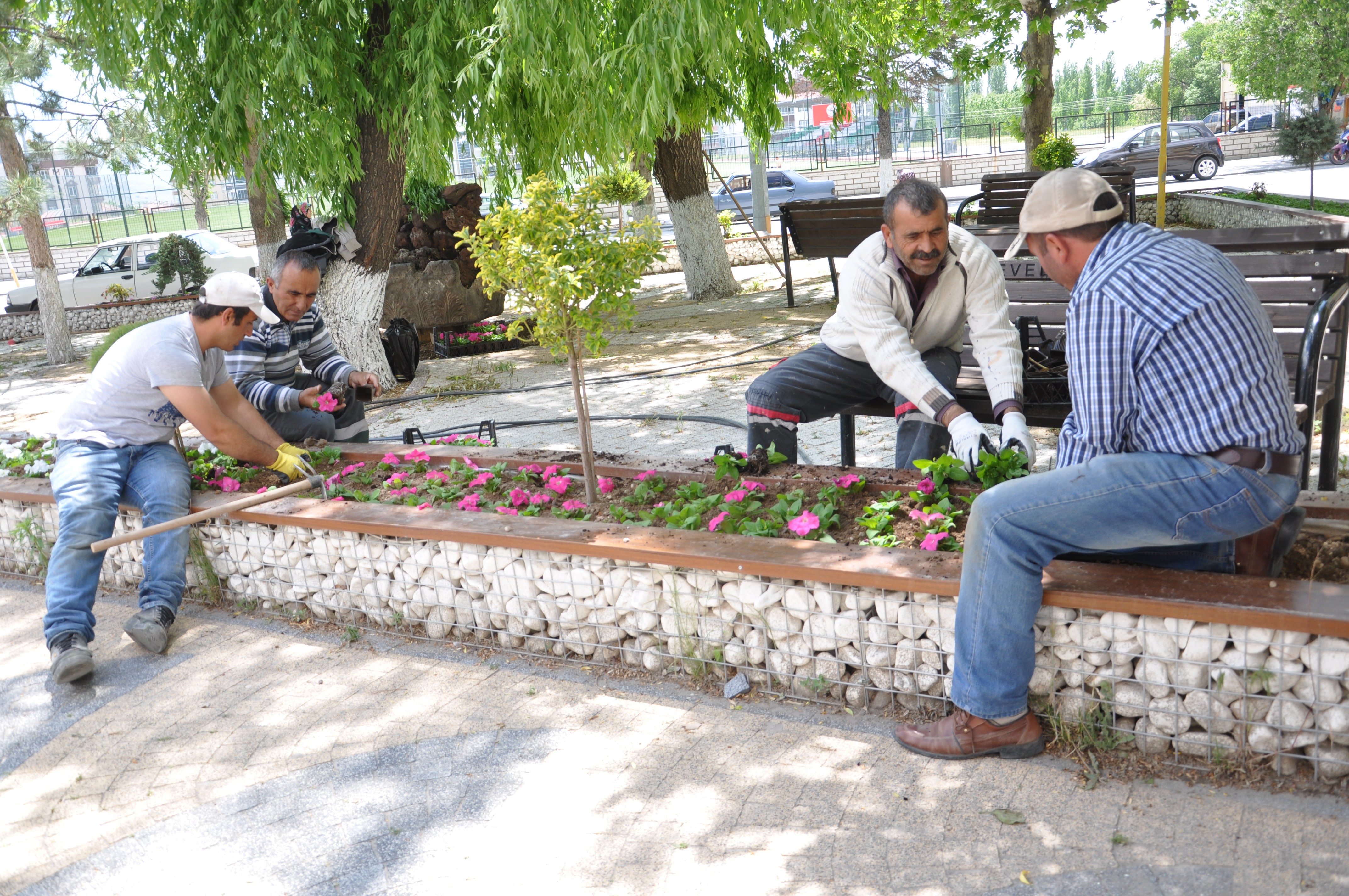 Develi’de peyzaj çalışmaları devam ediyor