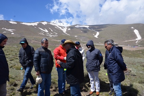 Erciyes Dağında yüksek dağ ağaçlandırması deneme çalışmaları