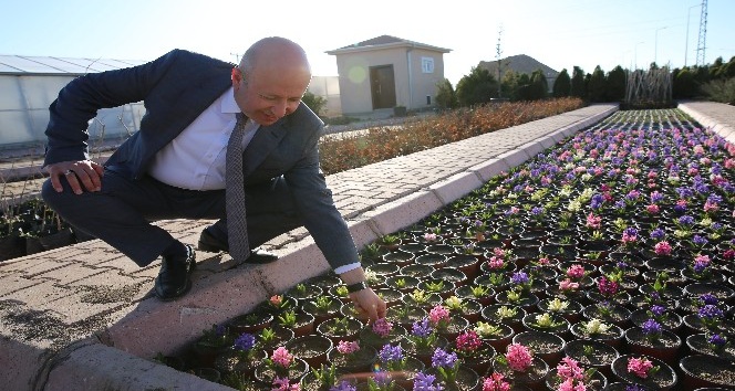 Başkan Çolakbayrakdar, “Daha temiz çevre için çalışıyoruz”