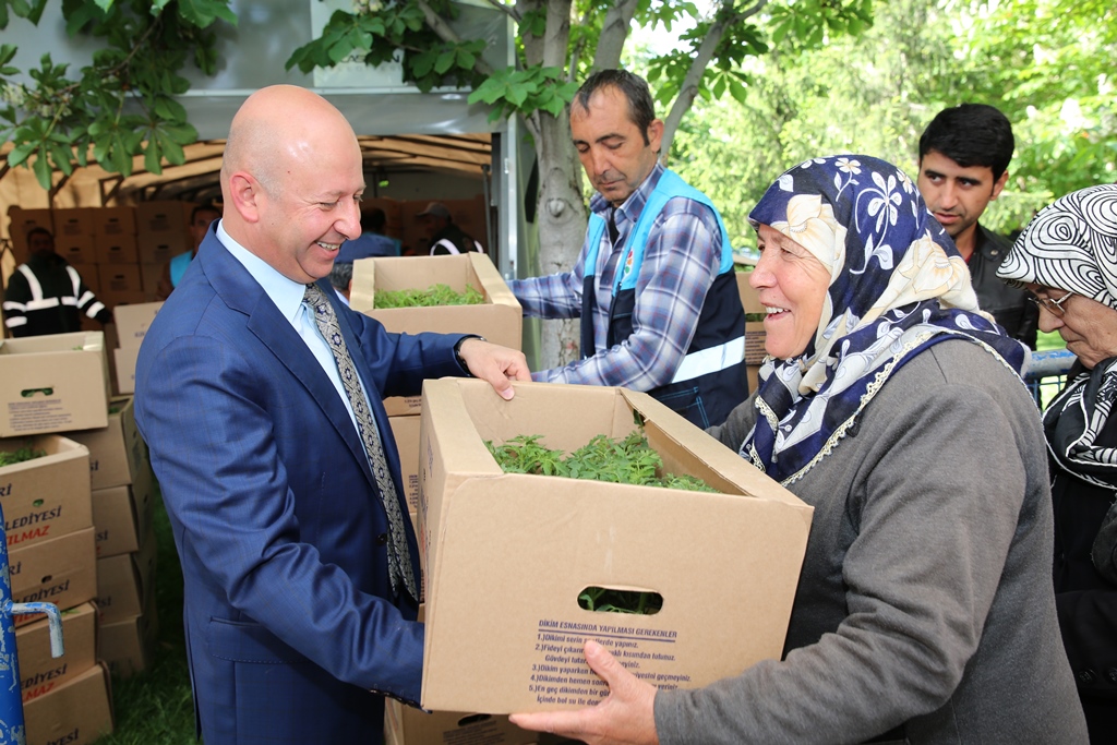 KOCASİNAN BELEDİYESİ’NİN DAĞITTIĞI FİDELER ÜRÜN VERDİ