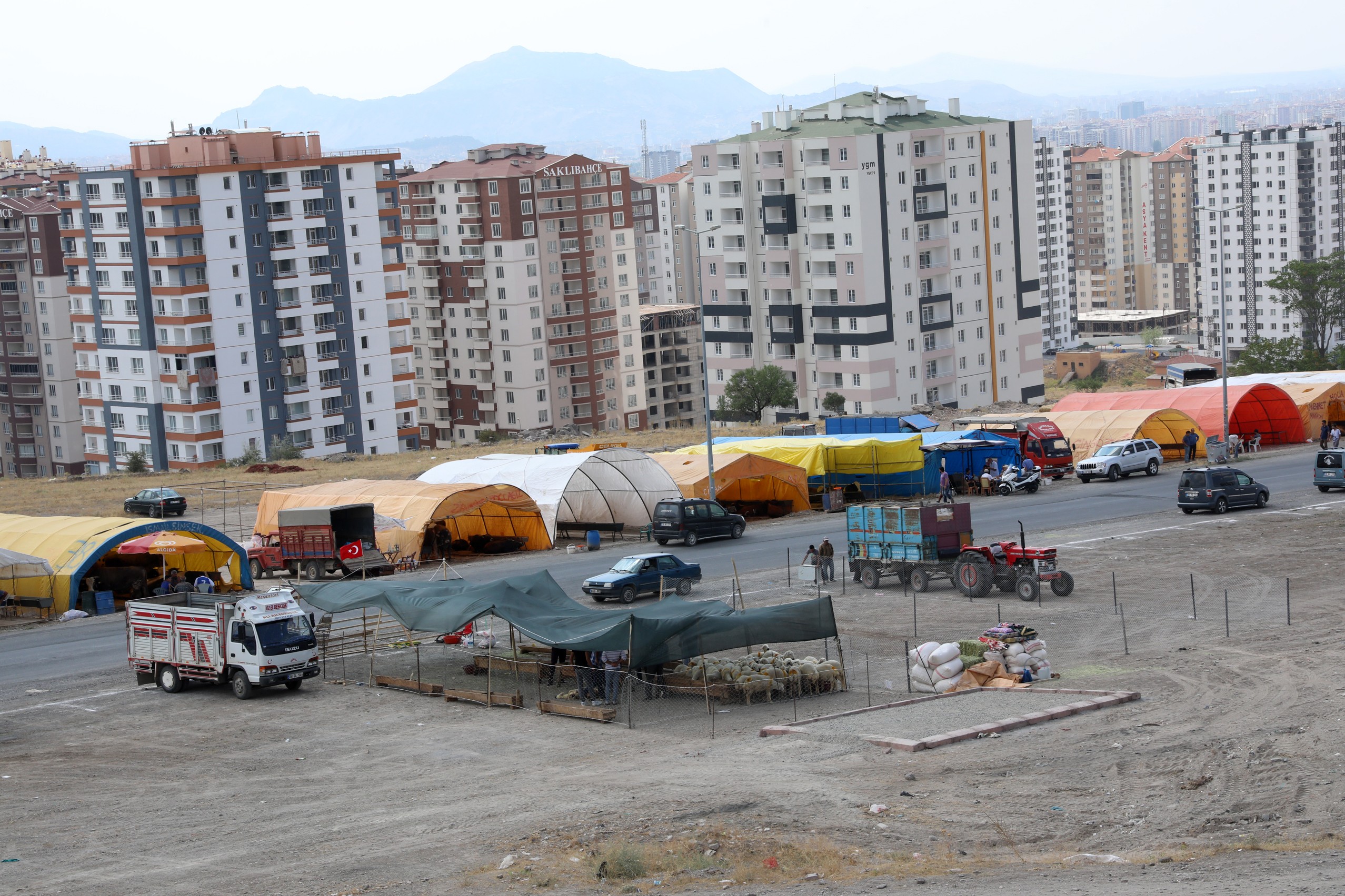 Talas kurban pazarı bayrama hazır