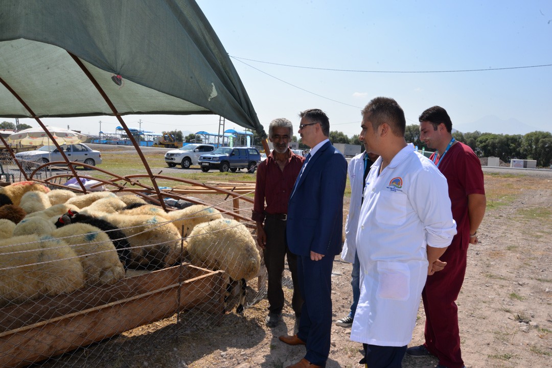 Tarım İl Müdürlüğü’nden Kurban Alacak Olanlara Büyük Hizmet