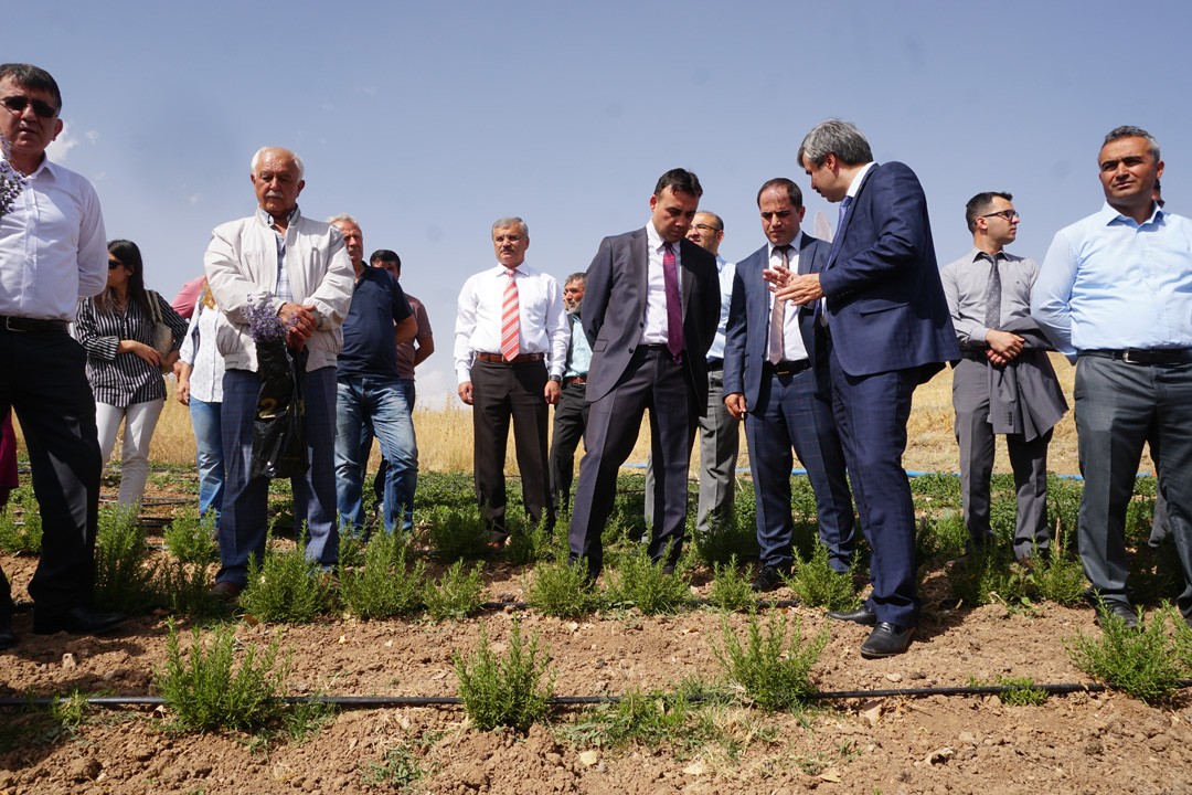 Tıbbi ve Aromatik Bitki Bahçelerinin Tanıtımı Yapıldı