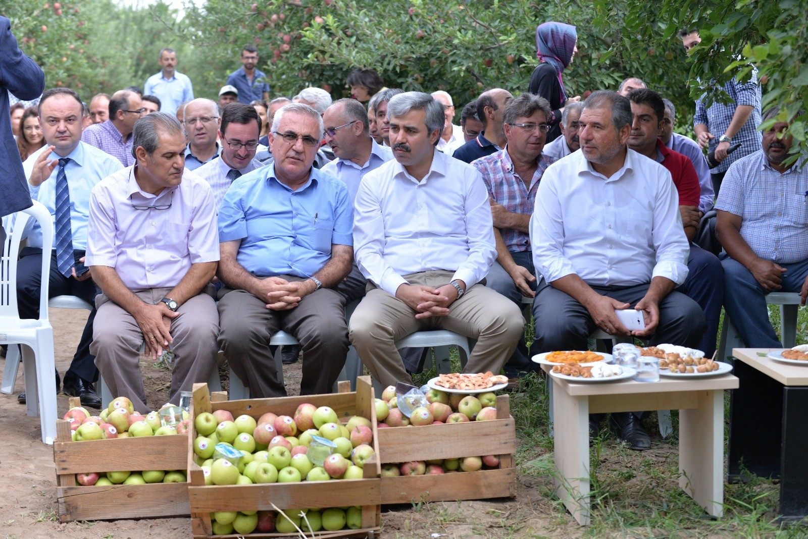 Zirai Mücadelede, ilaç yerine faydalı böcekler kullanılacak