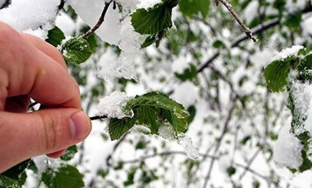 Çiftçilere zirai don uyarısı