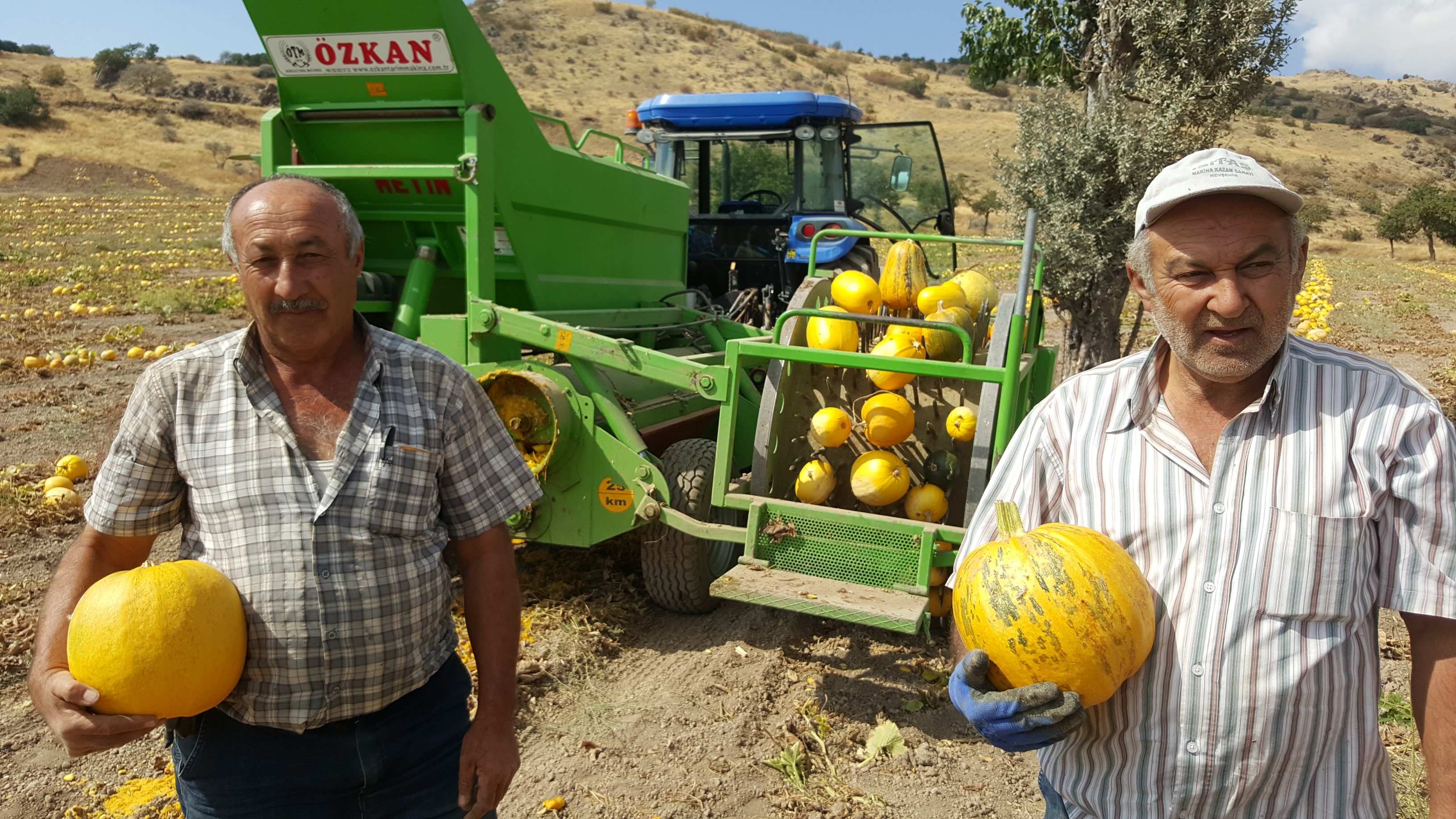 Kabak çekirdeği sektöründe Kayseri Şeker farkı üreticilerin yüzünü güldürdü