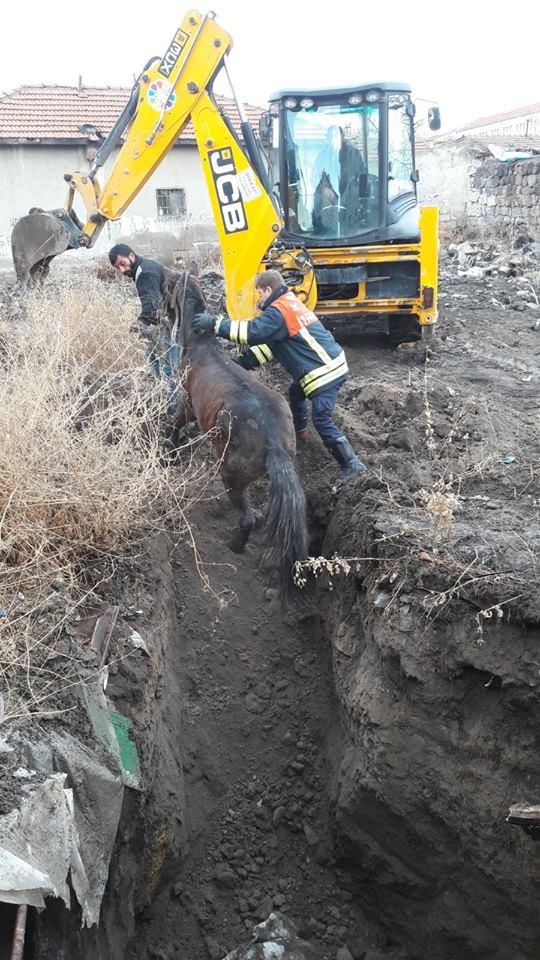 Çukura düşen atı itfaiye kurtardı 