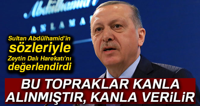 Cumhurbaşkanı Erdoğan, Sultan Abdülhamid’in sözleriyle Zeytin Dalı Harekatı’nı değerlendirdi