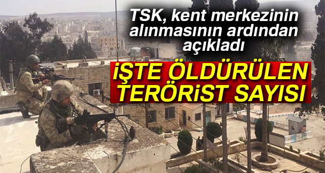 İŞTE ÖLDÜRÜLEN TERÖRİST SAYISI