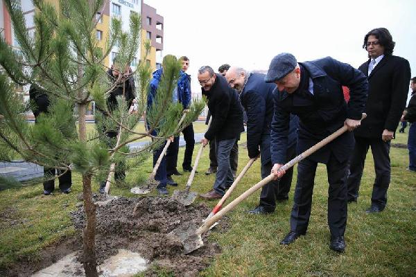 Kocasinan Belediyesi ağaç dikti