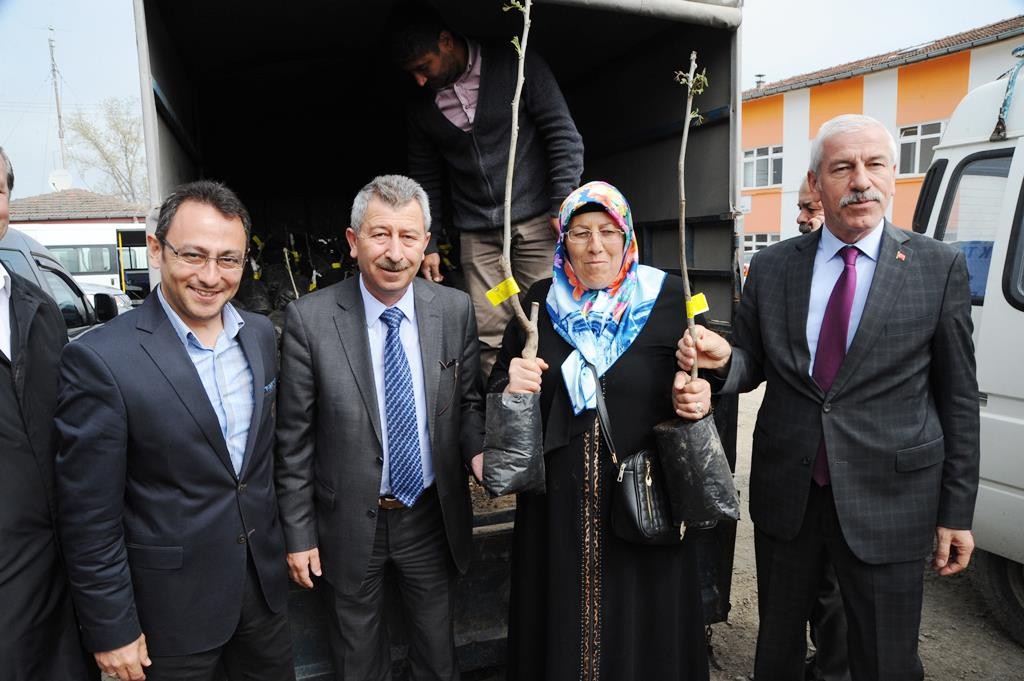 Büyükşehirden çiftçiye bin ceviz fidanı desteği