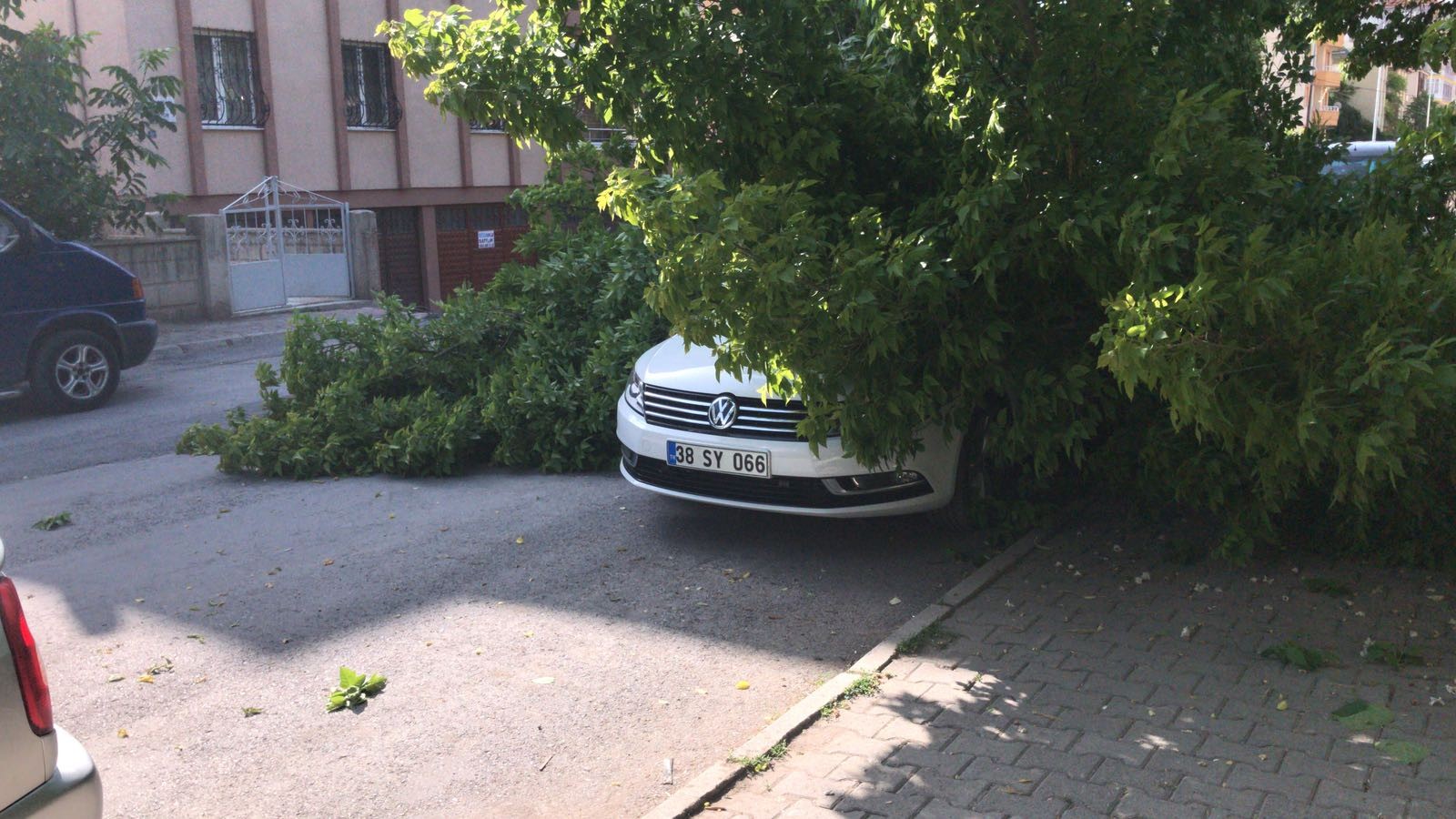 Ağacın dalları lüks aracın üzerine devrildi