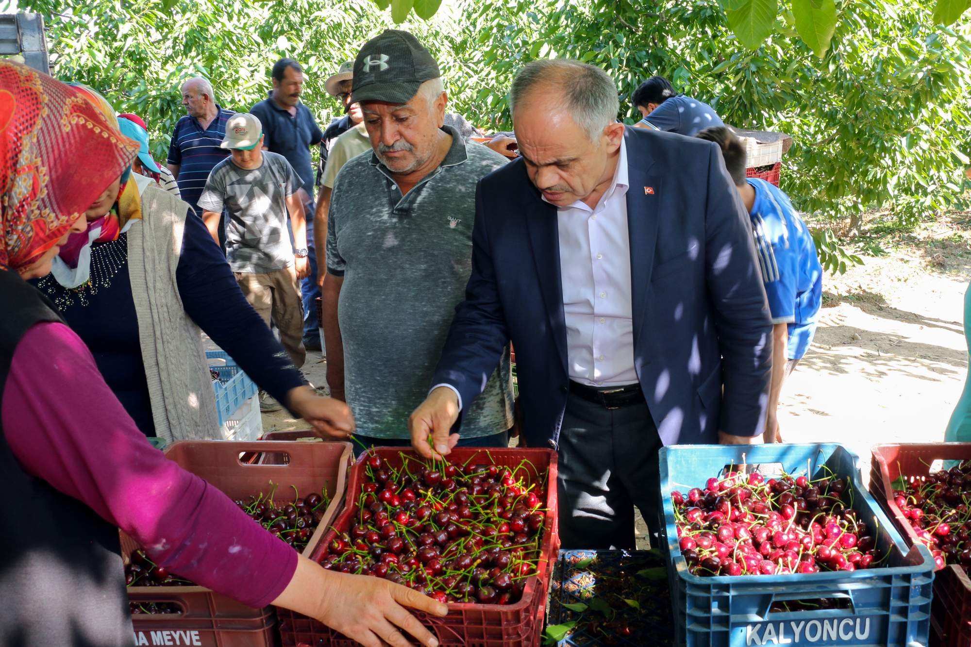 Yahyalı’daki kiraz üreticileri ihracatçıları bekliyor