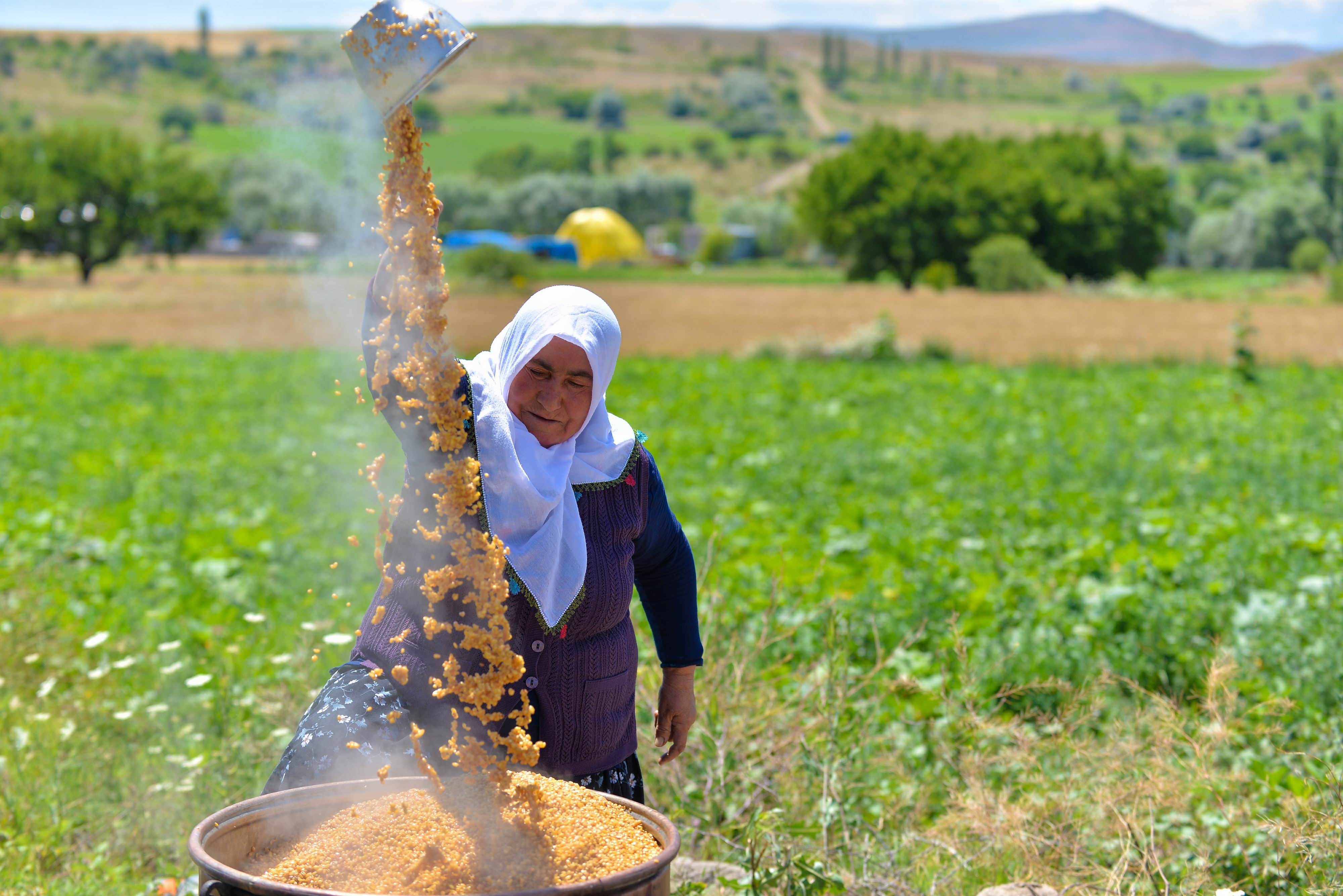 Kocasinan’da Şanlı Buğday Çeşidi Tarla Günü