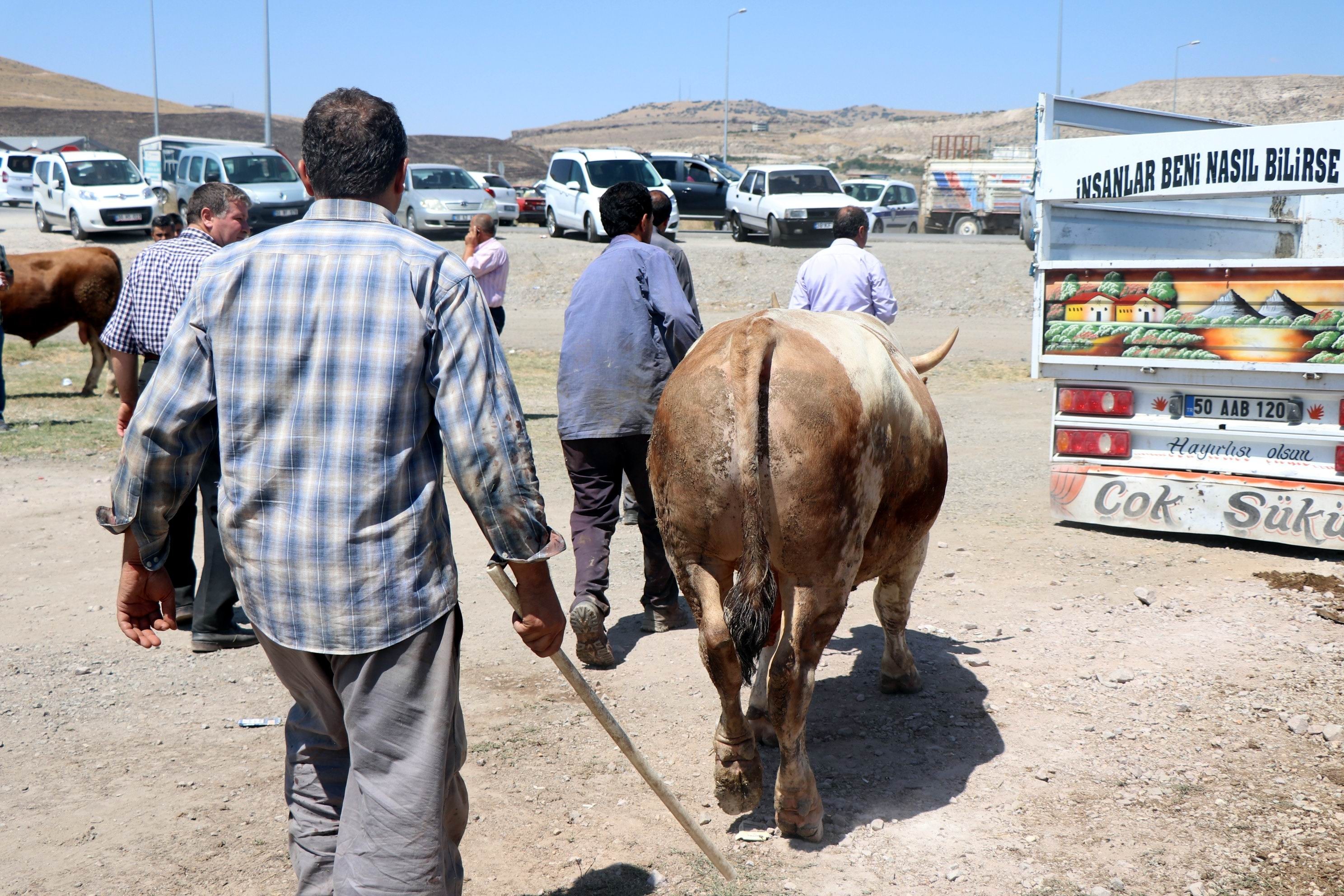 Kurban Bayramı’nda 27 bin 925 hayvan kesildi