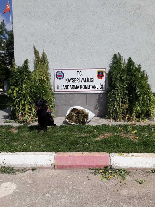 Jandarma bayramda da uyuşturucuya geçit vermedi