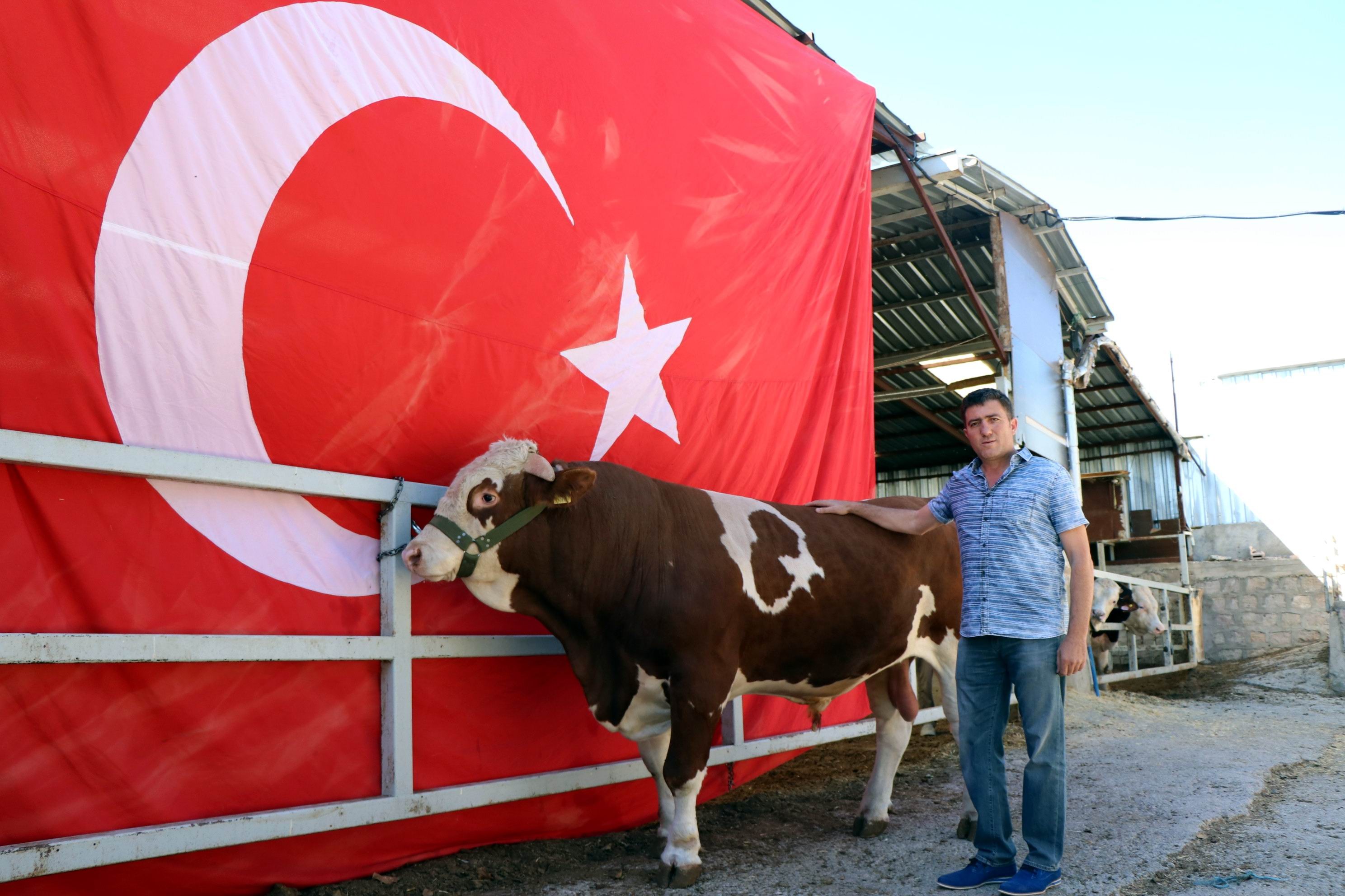 Üzerinde doğuştan ay ve yıldız olan ‘Cesur’ ilgi odağı oldu