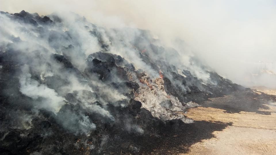 Sigara izmariti 3 bin balya samanı kül etti