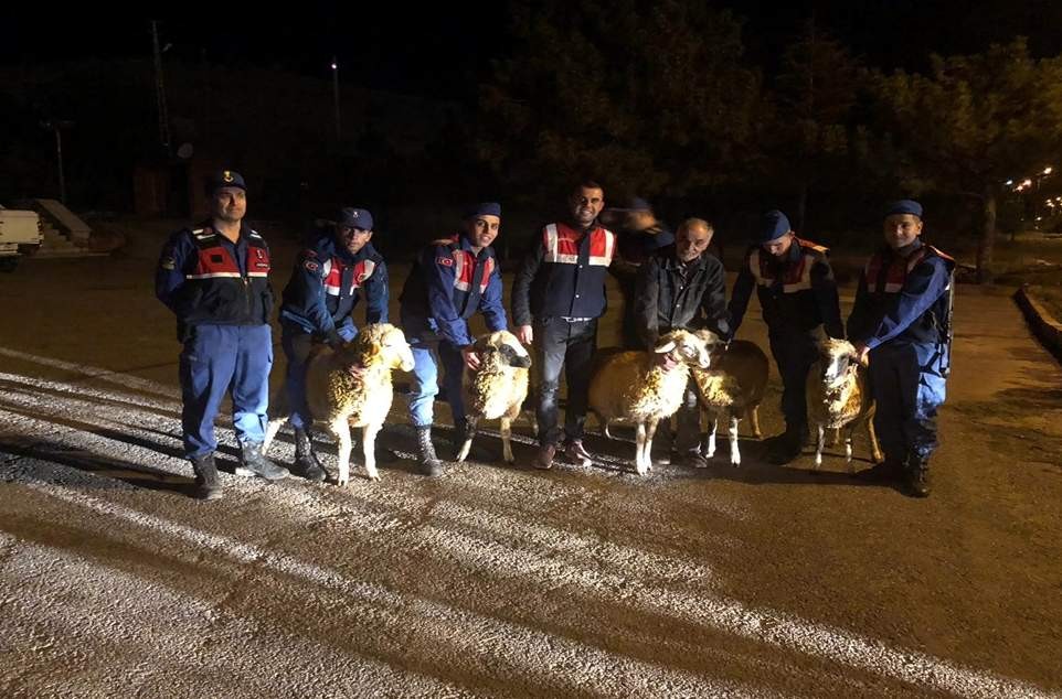 Kayseri’de küçükbaş hayvan hırsızlığı