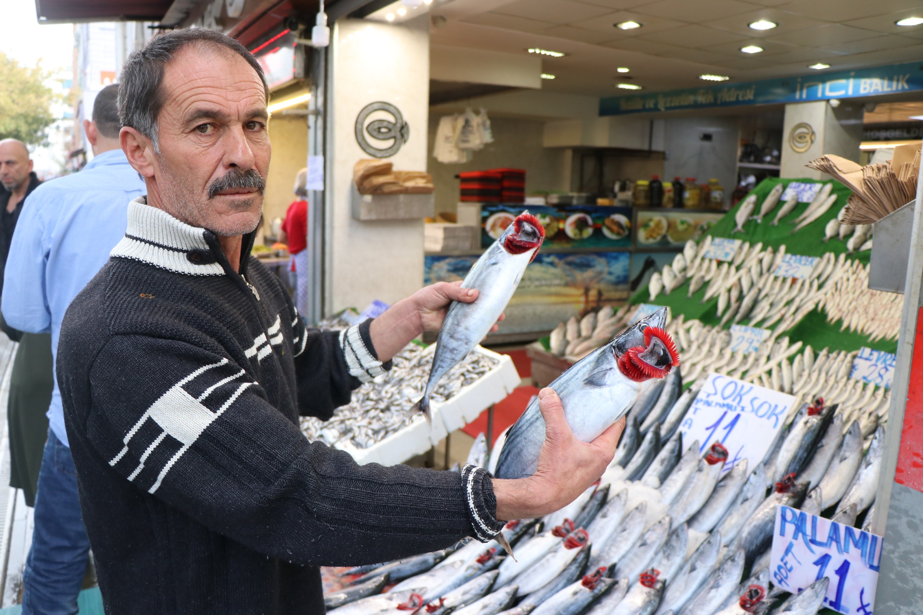 Balıkçılarda ‘Palamut’ yoğunluğu