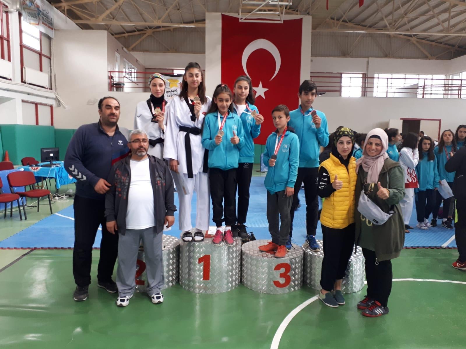 Analig Taekwondo’da Kayseri Farkı