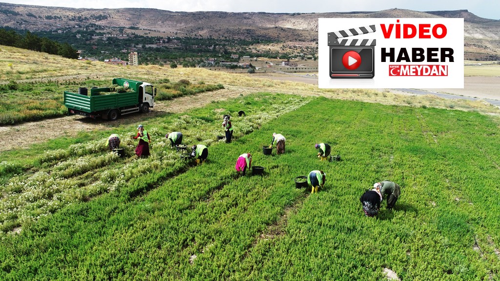 TARIMIN MERKEZİ KOCASİNAN’DAN KAYSERİ’YE YENİ BİR KAZANÇ KAPISI