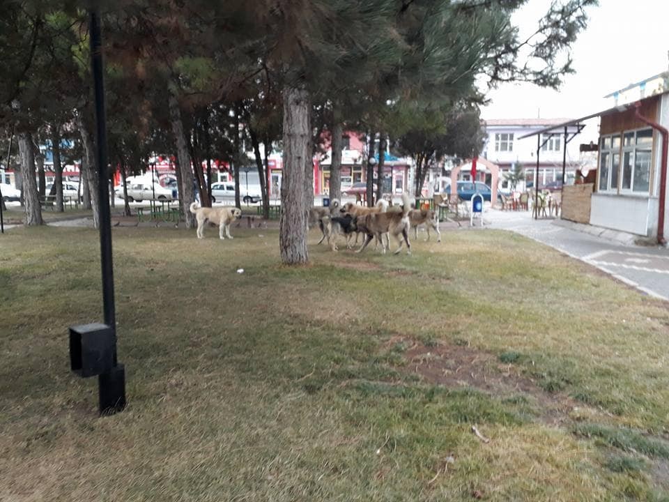 Tomarzalılar Vakfı ihtiyaç sahibi öğrencilere kışlık giyecek yardımı