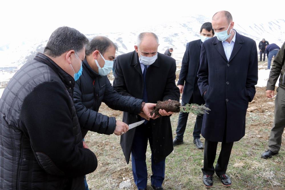 Yahyalı’da ağaç dikme etkinliği