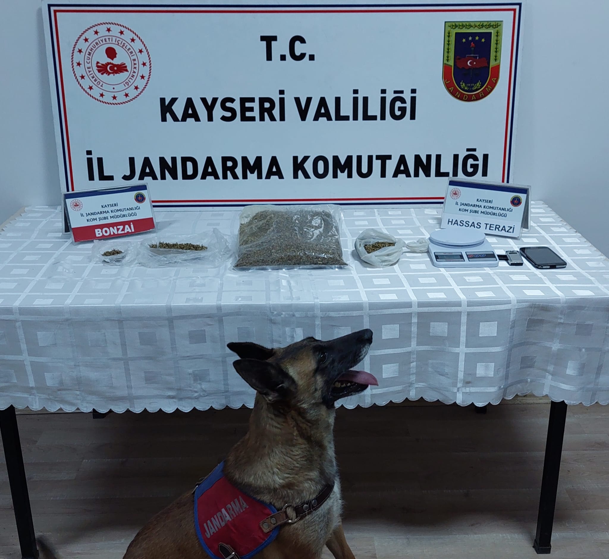 NARKOTİK KÖPEĞİ İLE UYUŞTURUCU OPERASYONU: 1 GÖZALTI