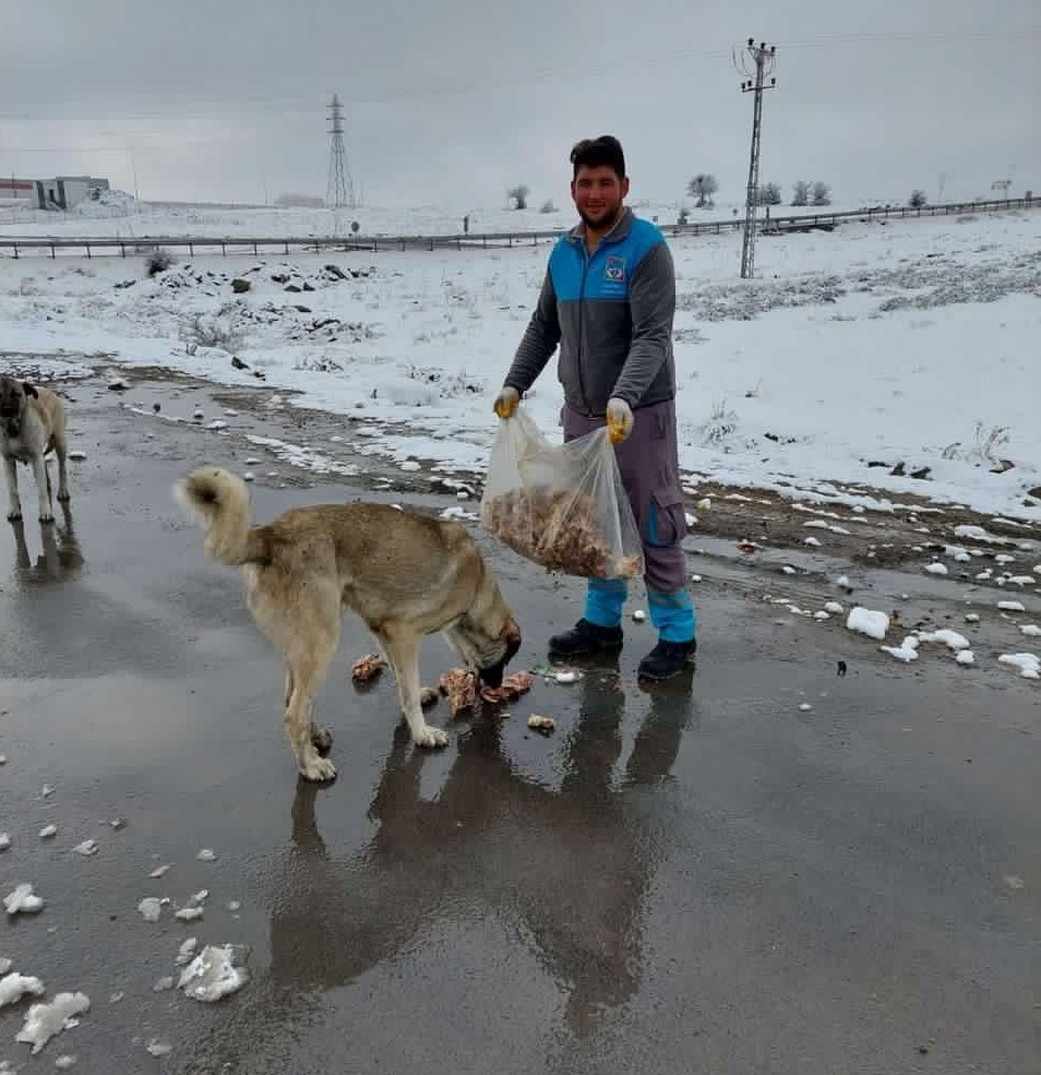 BÜTÇELERİNDEN ALDIKLARI GIDALARLA SOKAK HAYVANLARINI BESLİYORLAR