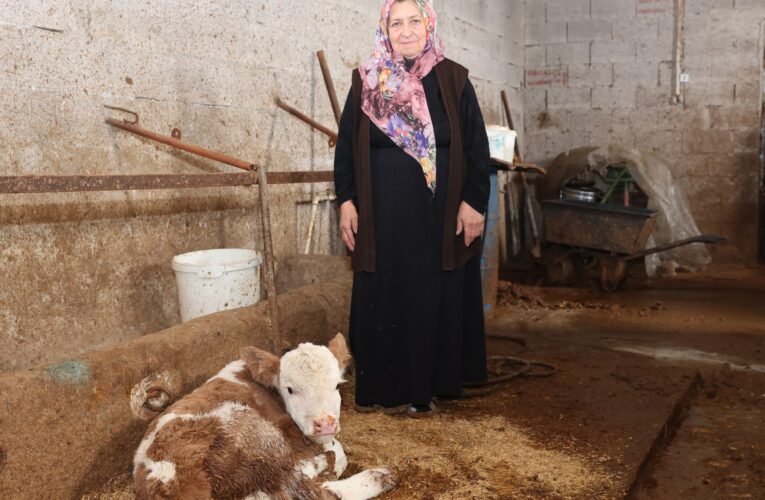 “Vatandaşlarımızın hayatını kolaylaştırmak için sahadayız”